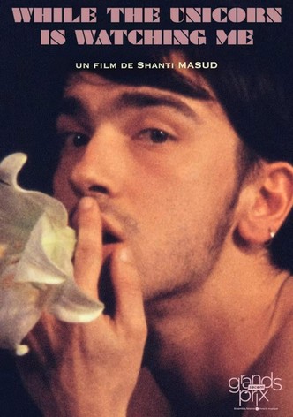 While the Unicorn Is Watching Me