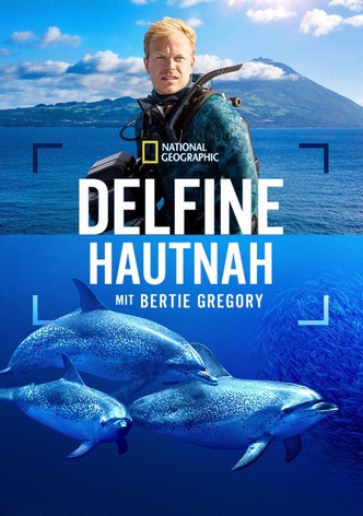 Delfine Hautnah mit Bertie Gregory