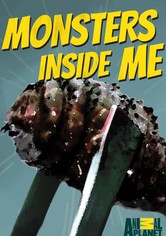 Monsters Inside Me