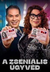 A zseniális ügyvéd