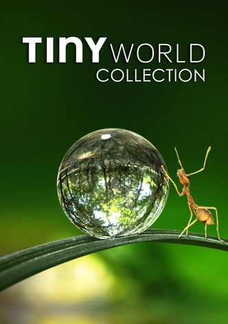 Tiny World
