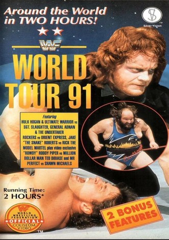 WWE World Tour 1991
