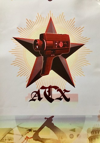 Pastime: Reflection Understood