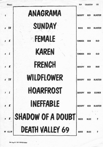 Sonic Youth: Festival Internacional de Benicàssim