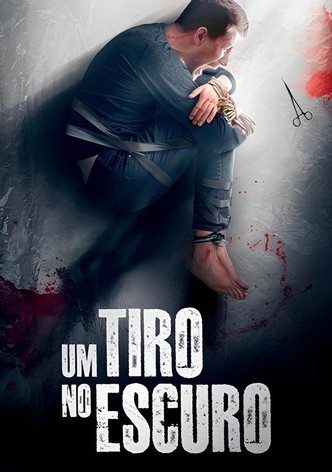 Um Tiro no Escuro
