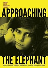 Approaching the Elephant