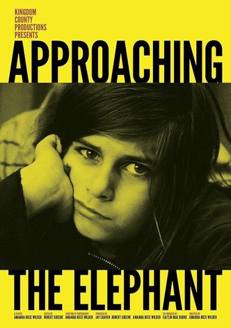 Approaching the Elephant