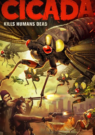CICADA!