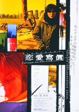 Collage of Our Lives