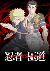 Ninja vs. Gokudo - Sezona 1