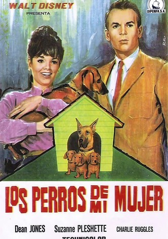 Los perros de mi mujer