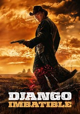 Django imbatible