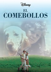 El comebollos