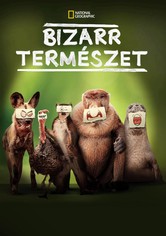 Bizarr természet