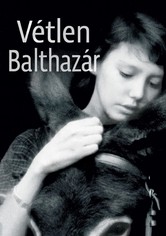 Vétlen Balthazár