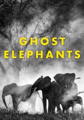 Ghost Elephants