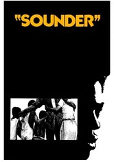 Sounder (Lágrimas de Esperança)