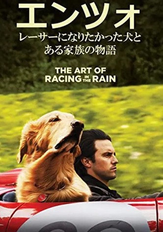 エンツォ レーサーになりたかった犬とある家族の物語
