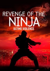 Ninja II Ultime Violence