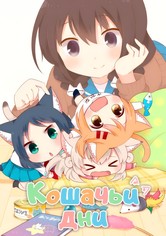 Кошачьи дни