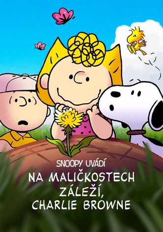Snoopy uvádí: Na maličkostech záleží, Charlie Browne