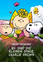 Snoopy präsentiert: Es sind die kleinen Dinge, Charlie Brown