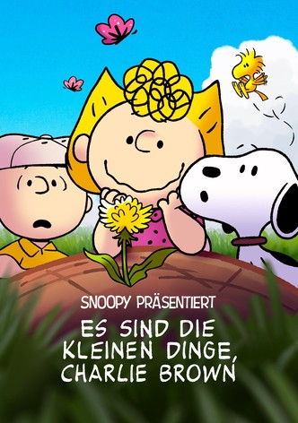 Snoopy präsentiert: Es sind die kleinen Dinge, Charlie Brown