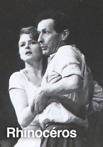 Rhinocéros