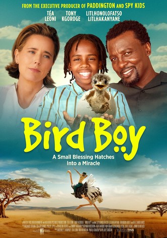 Bird Boy