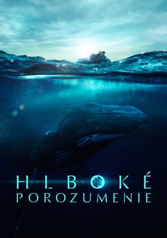 Hlboké porozumenie