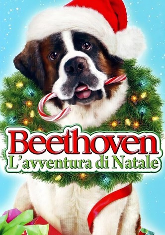 Beethoven - L'avventura di Natale
