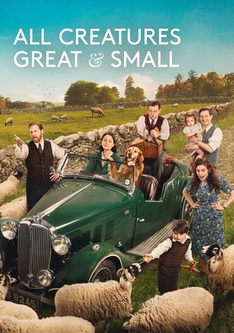 All Creatures Great & Small - Season 6