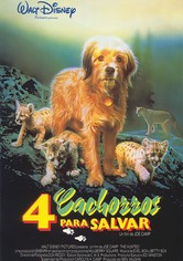 Cuatro cachorros para salvar