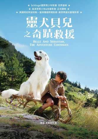 灵犬雪莉：冒险再出发