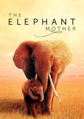The Elephant Mother