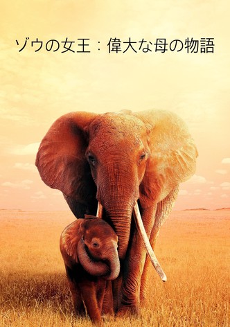 ゾウの女王：偉大な母の物語