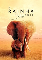 A Rainha Elefante