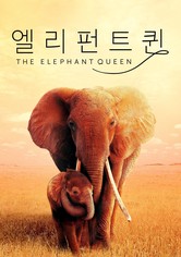 '엘리펀트 퀸' - The Elephant Queen