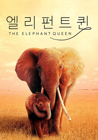 '엘리펀트 퀸' - The Elephant Queen