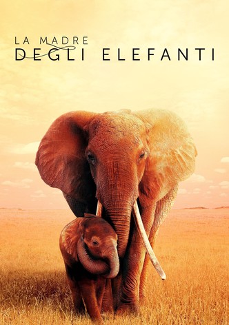 La madre degli elefanti