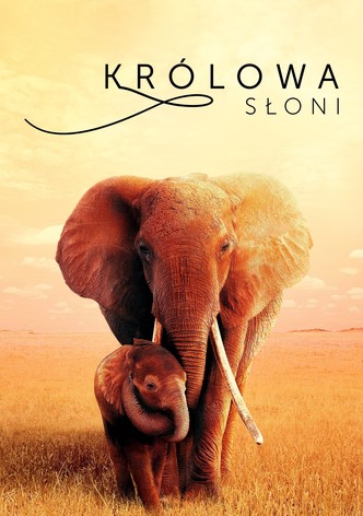 Królowa słoni