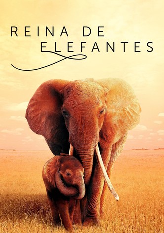 Reina de elefantes