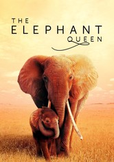 The Elephant Queen