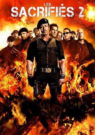 Expendables 2 : Unité spéciale