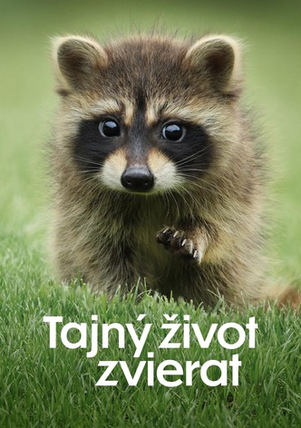 Tajný život zvierat