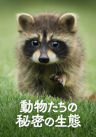 動物たちの秘密の生態