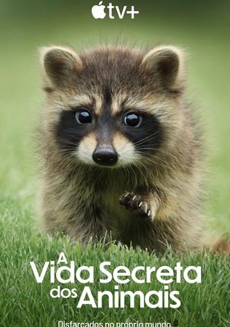 A Vida Secreta dos Animais