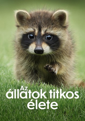 Az állatok titkos élete
