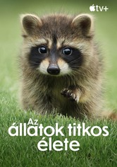 Az állatok titkos élete