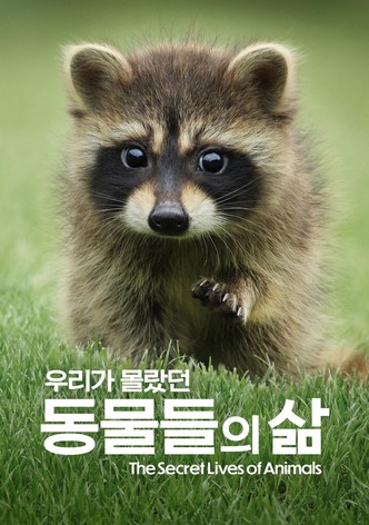'우리가 몰랐던 동물들의 삶' - The Secret Lives of Animals